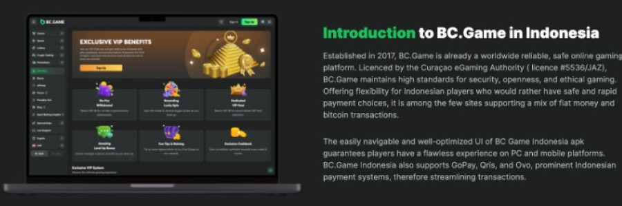 Bc Game App Panduan Lengkap untuk Pemain Bc Game App Panduan Lengkap untuk Pemain