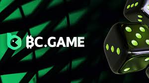 Everything You Need to Know About BC.Game Everything You Need to Know About BC.Game
